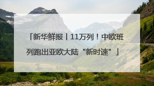 新华鲜报丨11万列！中欧班列跑出亚欧大陆“新时速”